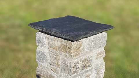 Planchon épaufré [CHPLEP]