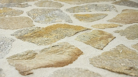 Gneiss du Caroux [DAGNCLOPINCR]