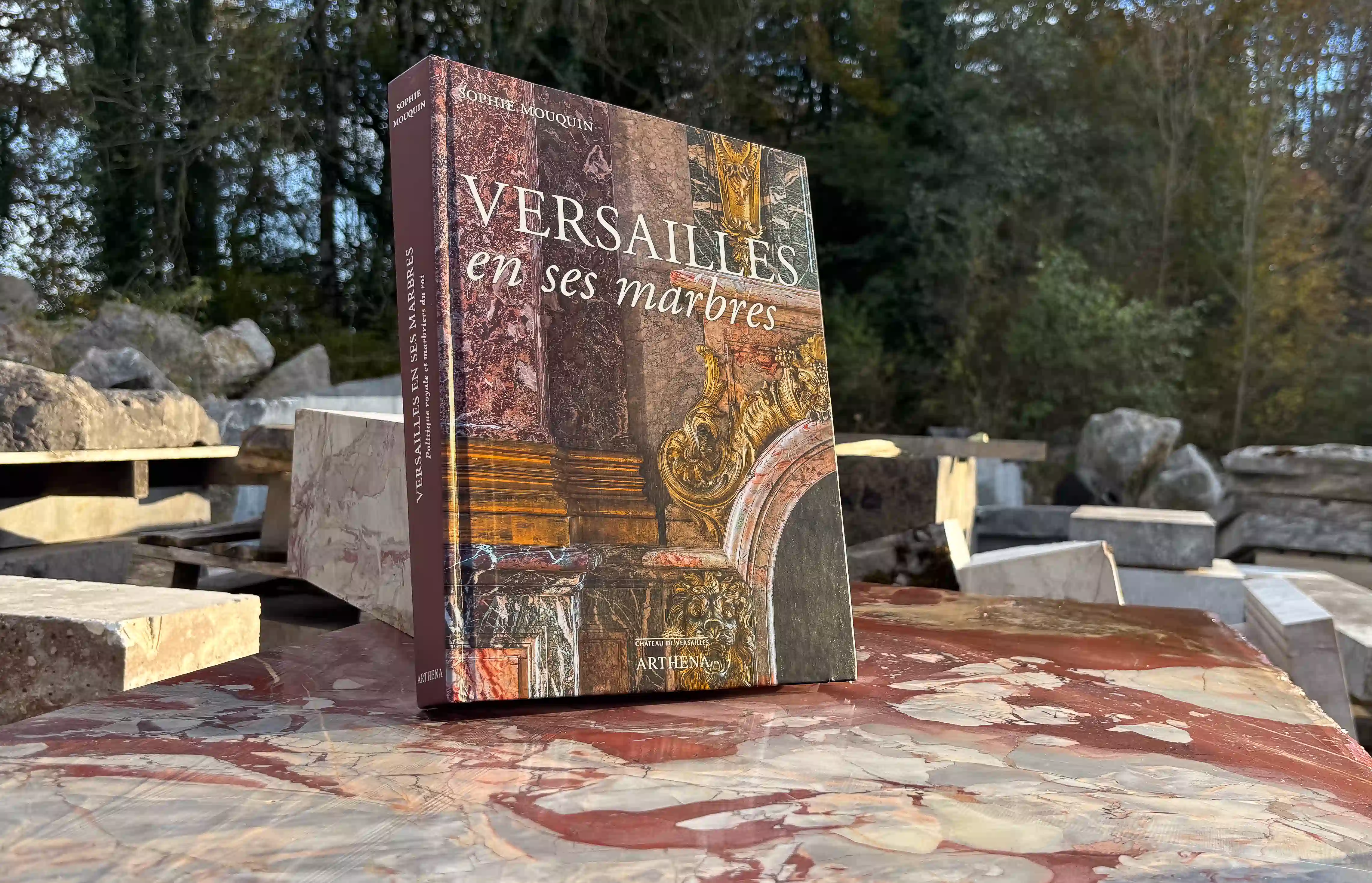 Livre Versailles en ses marbres [APLIVEM000001]
